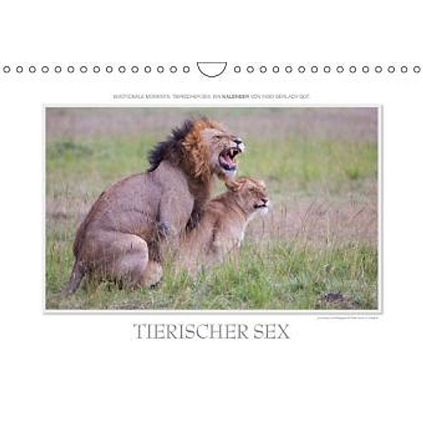 Emotionale Momente: Tierischer Sex. (Wandkalender 2016 DIN A4 quer), Ingo Gerlach