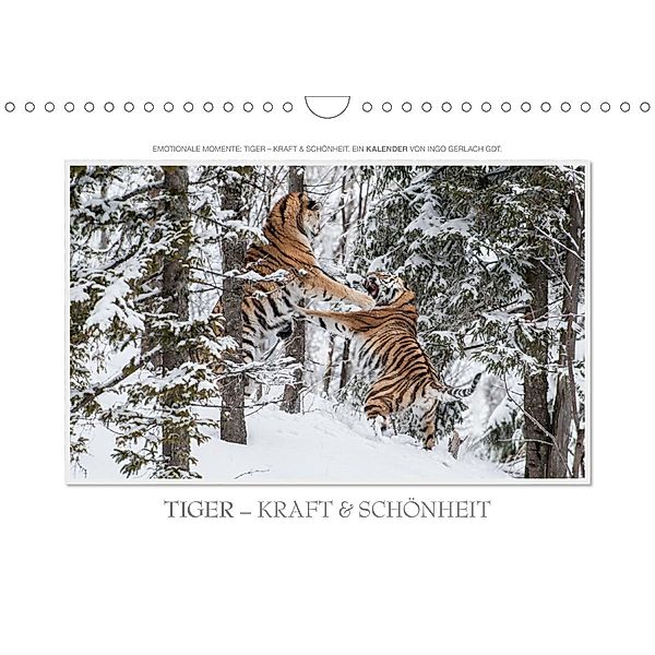 Emotionale Momente: Tiger - Kraft & Schönheit. (Wandkalender 2021 DIN A4 quer), Ingo Gerlach GDT