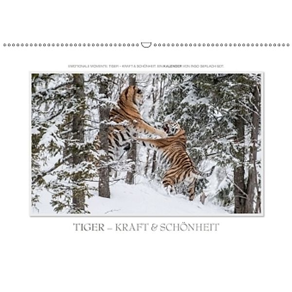 Emotionale Momente: Tiger - Kraft & Schönheit. / CH-Version (Wandkalender 2017 DIN A2 quer), Ingo Gerlach