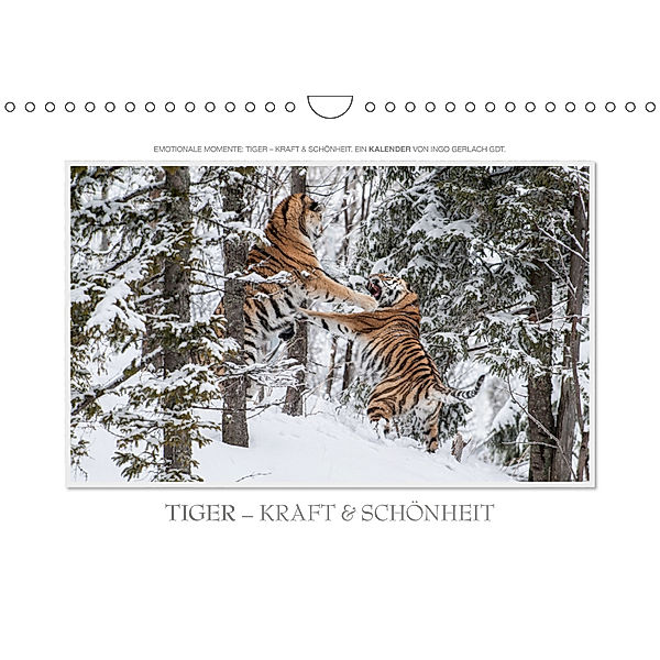 Emotionale Momente: Tiger - Kraft & Schönheit. / CH-Version (Wandkalender 2019 DIN A4 quer), Ingo Gerlach