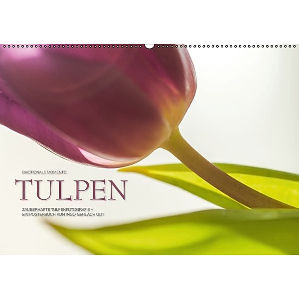 Emotionale Momente: Tulpen - Posterbuch (PosterbuchDIN A3 quer), Ingo Gerlach