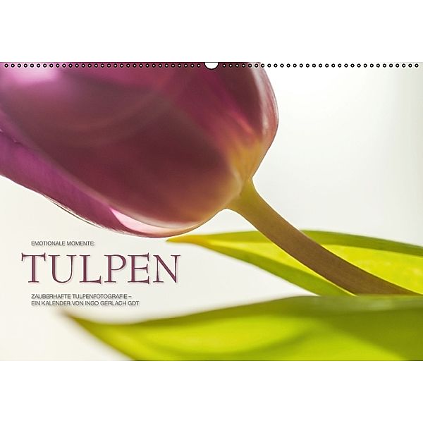 Emotionale Momente: Tulpen (Wandkalender 2014 DIN A2 quer), Ingo Gerlach