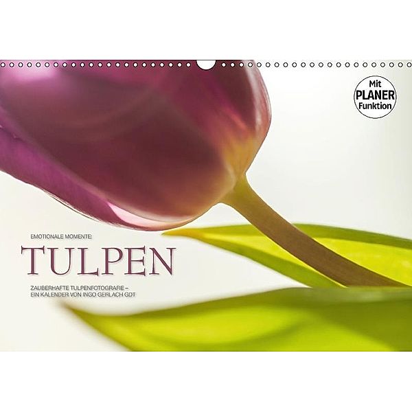 Emotionale Momente: Tulpen (Wandkalender 2017 DIN A3 quer), Ingo Gerlach