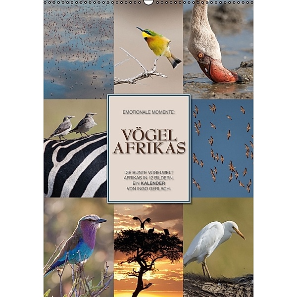 Emotionale Momente: Vögel Afrikas (Wandkalender 2014 DIN A2 hoch), Ingo Gerlach