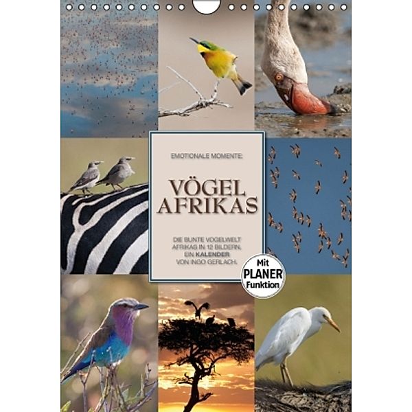 Emotionale Momente: Vögel Afrikas (Wandkalender 2016 DIN A4 hoch), Ingo Gerlach