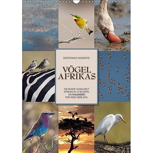 Emotionale Momente: Vögel Afrikas (Wandkalender 2017 DIN A3 hoch), Ingo Gerlach, Ingo Gerlach GDT