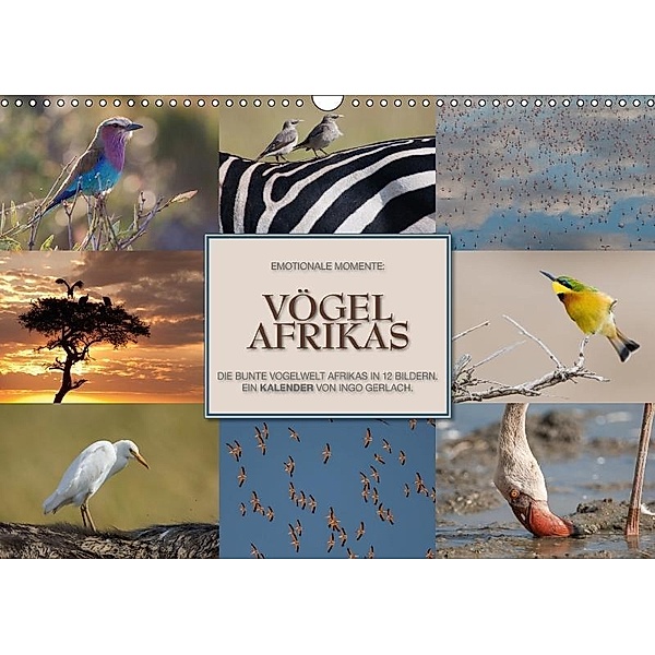 Emotionale Momente: Vögel Afrikas (Wandkalender 2017 DIN A3 quer), Ingo Gerlach, Ingo Gerlach GDT