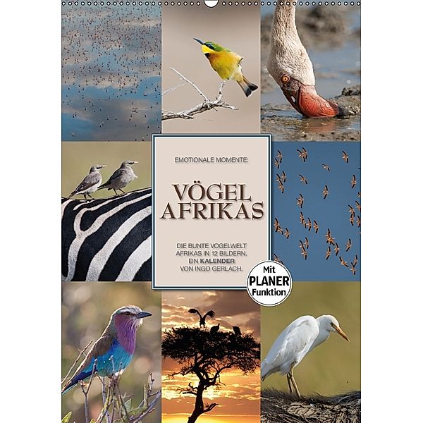 Emotionale Momente: Vögel Afrikas (Wandkalender 2018 DIN A2 hoch) Dieser erfolgreiche Kalender wurde dieses Jahr mit gle, Ingo Gerlach GDT