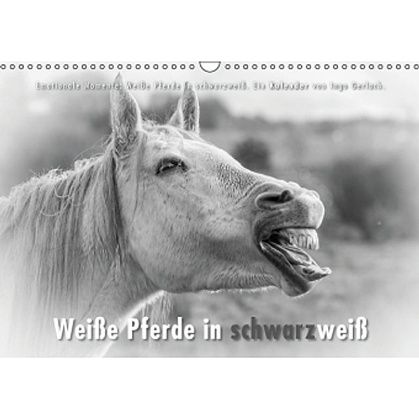 Emotionale Momente: Weiße Pferde in schwarzweiß. (Wandkalender 2015 DIN A3 quer), Ingo Gerlach