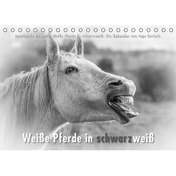 Emotionale Momente: Weiße Pferde in schwarzweiß. (Tischkalender 2015 DIN A5 quer), Ingo Gerlach