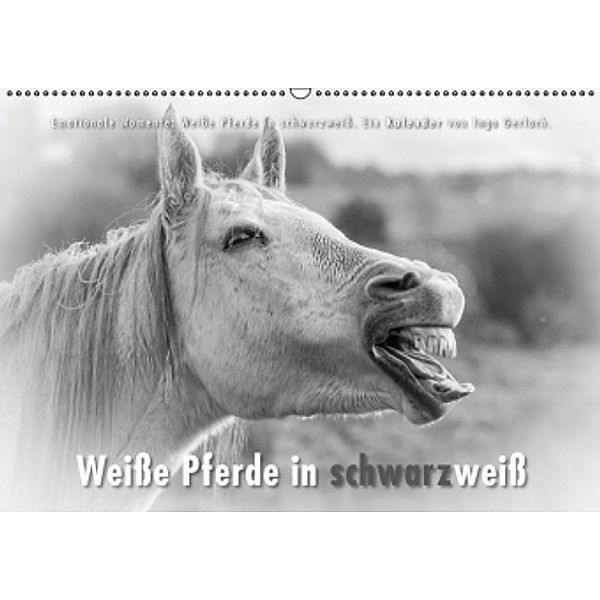 Emotionale Momente: Weiße Pferde in schwarzweiß. (Wandkalender 2015 DIN A2 quer), Ingo Gerlach
