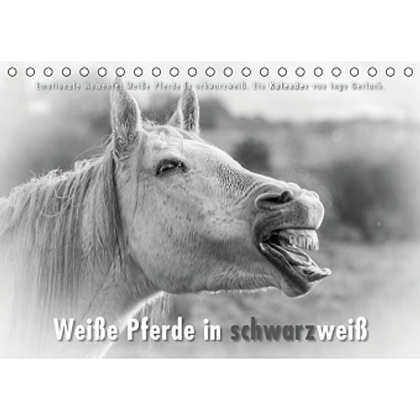 Emotionale Momente: Weiße Pferde in schwarzweiß. (Tischkalender 2016 DIN A5 quer), Ingo Gerlach