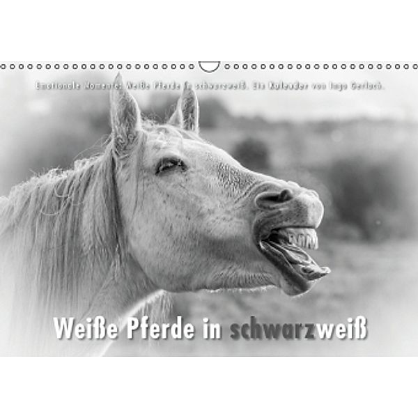 Emotionale Momente: Weiße Pferde in schwarzweiß. (Wandkalender 2016 DIN A3 quer), Ingo Gerlach