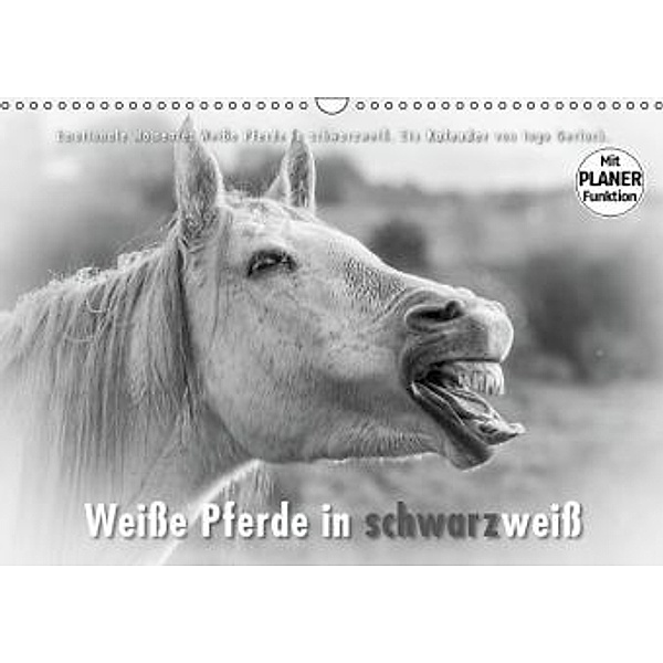 Emotionale Momente: Weiße Pferde in schwarzweiß. (Wandkalender 2016 DIN A3 quer), Ingo Gerlach