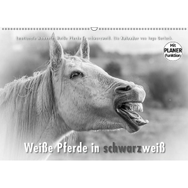 Emotionale Momente: Weiße Pferde in schwarzweiß. (Wandkalender 2017 DIN A2 quer), Ingo Gerlach