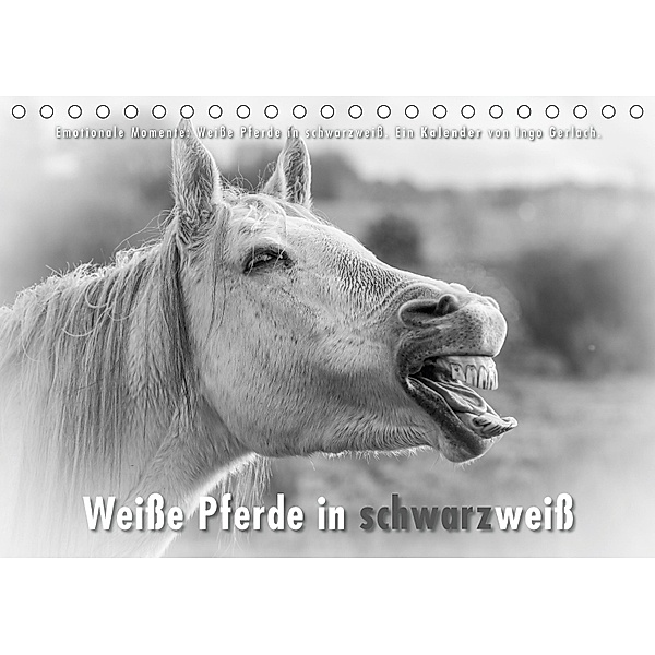 Emotionale Momente: Weiße Pferde in schwarzweiß. (Tischkalender 2018 DIN A5 quer), Ingo Gerlach