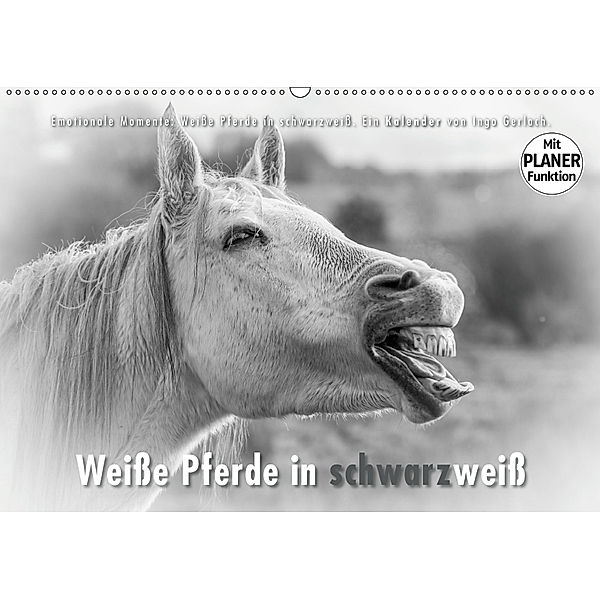 Emotionale Momente: Weiße Pferde in schwarzweiß. (Wandkalender 2019 DIN A2 quer), Ingo Gerlach