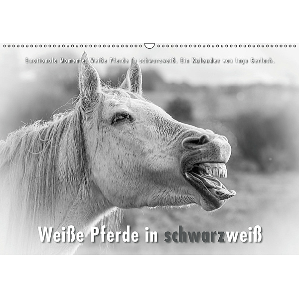 Emotionale Momente: Weiße Pferde in schwarzweiß. (Wandkalender 2019 DIN A2 quer), Ingo Gerlach