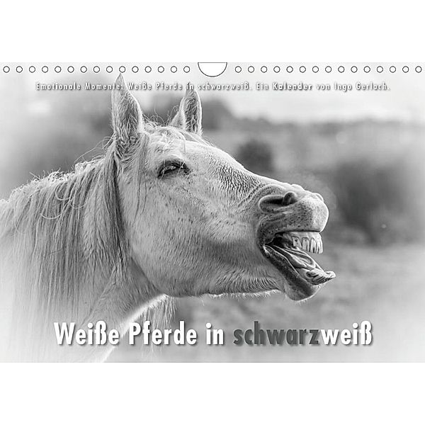 Emotionale Momente: Weiße Pferde in schwarzweiß. (Wandkalender 2020 DIN A4 quer), Ingo Gerlach