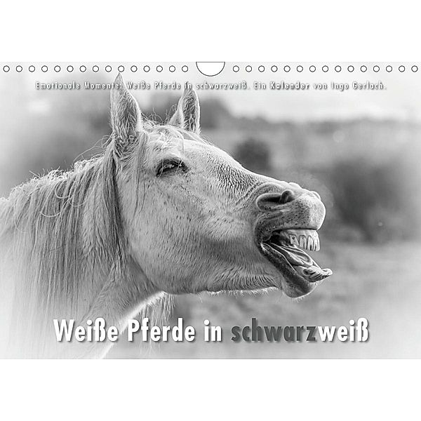 Emotionale Momente: Weiße Pferde in schwarzweiß. (Wandkalender 2021 DIN A4 quer), Ingo Gerlach