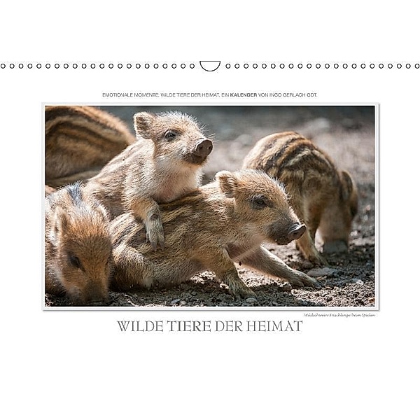 Emotionale Momente: Wilde Tiere der Heimat. (Wandkalender 2017 DIN A3 quer), Ingo Gerlach GDT