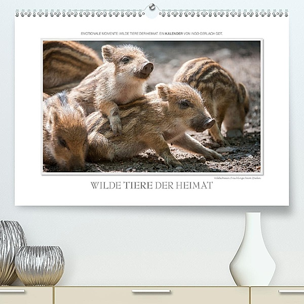 Emotionale Momente: Wilde Tiere der Heimat.(Premium, hochwertiger DIN A2 Wandkalender 2020, Kunstdruck in Hochglanz), Ingo Gerlach GDT