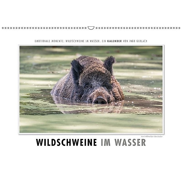 Emotionale Momente: Wildschweine im Wasser (Wandkalender 2017 DIN A2 quer), Ingo Gerlach