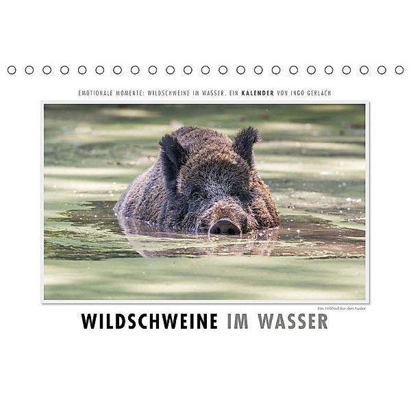 Emotionale Momente: Wildschweine im Wasser (Tischkalender 2017 DIN A5 quer), Ingo Gerlach