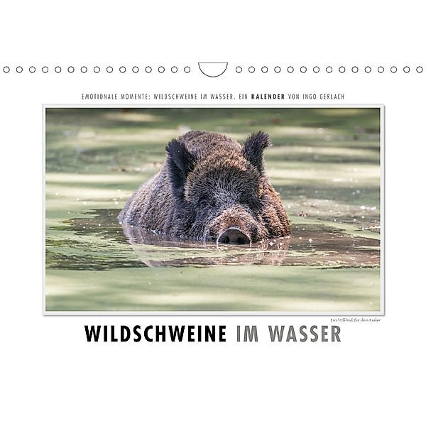 Emotionale Momente: Wildschweine im Wasser (Wandkalender 2020 DIN A4 quer), Ingo Gerlach