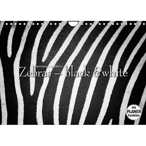 Emotionale Momente: Zebras - black and white. (Wandkalender 2022 DIN A4 quer), Ingo Gerlach GDT