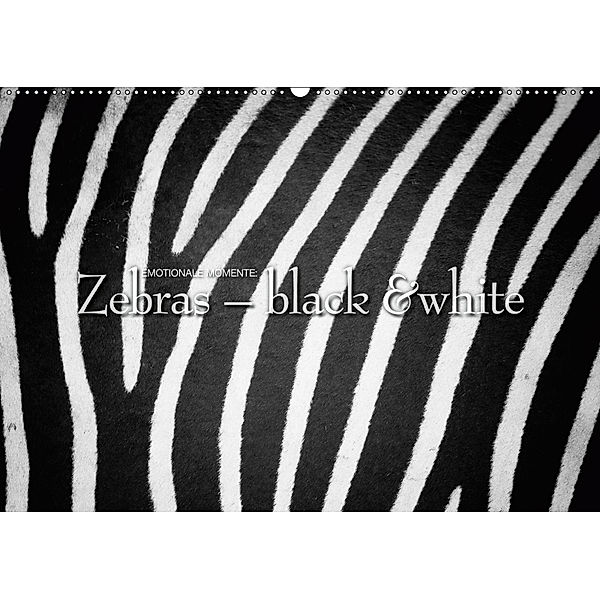 Emotionale Momente: Zebras - black & white. (Wandkalender 2019 DIN A2 quer), Ingo Gerlach