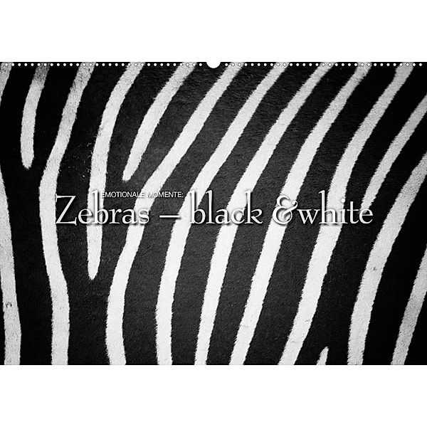 Emotionale Momente: Zebras - black & white. (Wandkalender 2023 DIN A2 quer), Ingo Gerlach GDT