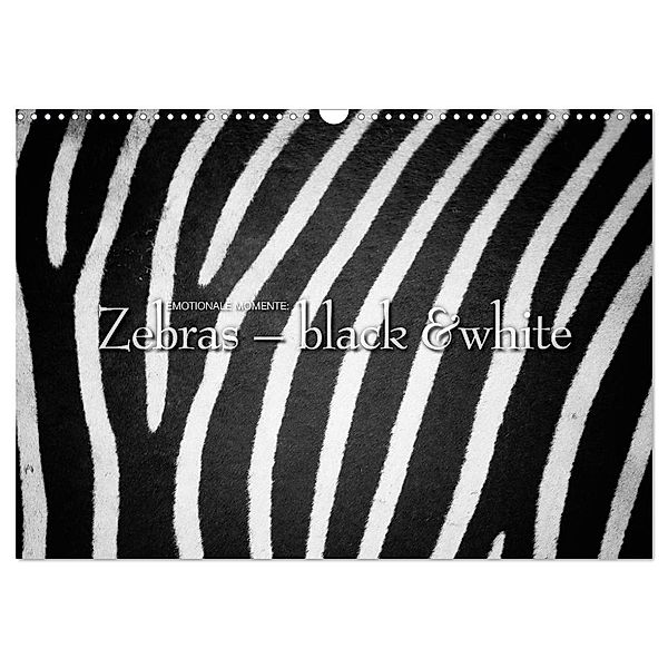 Emotionale Momente: Zebras - black & white. (Wandkalender 2024 DIN A3 quer), CALVENDO Monatskalender, Ingo Gerlach GDT