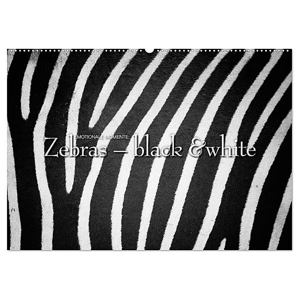 Emotionale Momente: Zebras - black & white. (Wandkalender 2024 DIN A2 quer), CALVENDO Monatskalender, Ingo Gerlach GDT