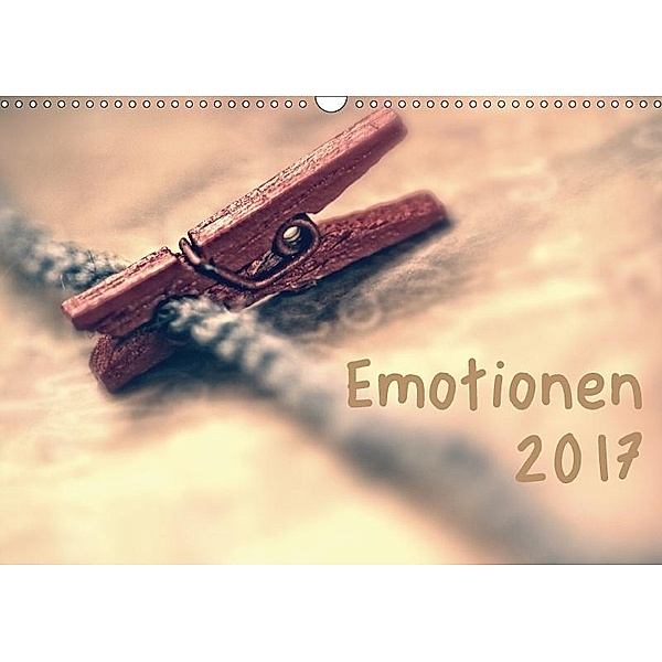 Emotionen (Wandkalender 2017 DIN A3 quer), Hernegger Arnold