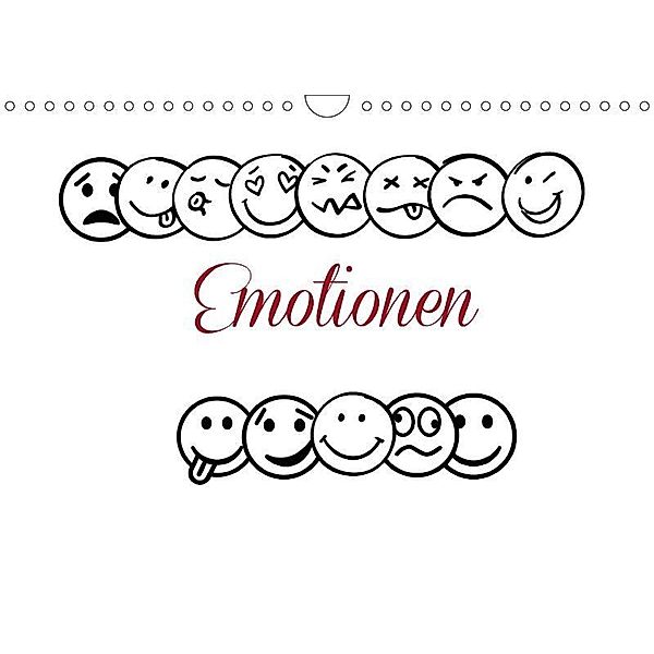 Emotionen (Wandkalender 2017 DIN A4 quer), Heike Hultsch