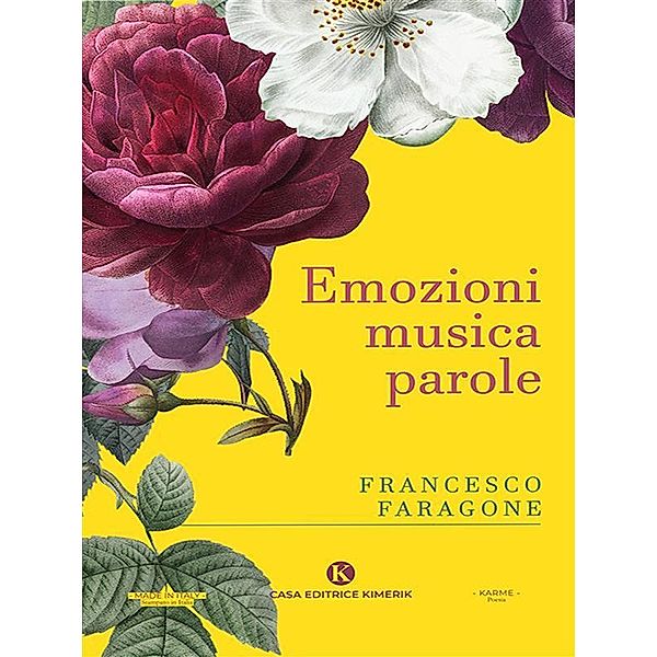 Emozioni musica parole, Francesco Faragone