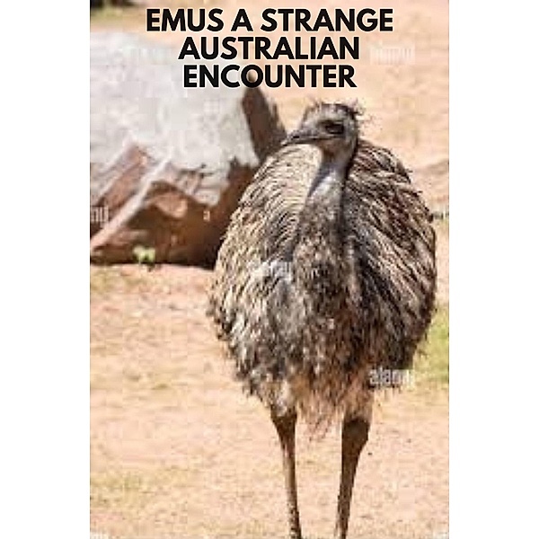 Emus A strange Australian encounter, Thomas Jony