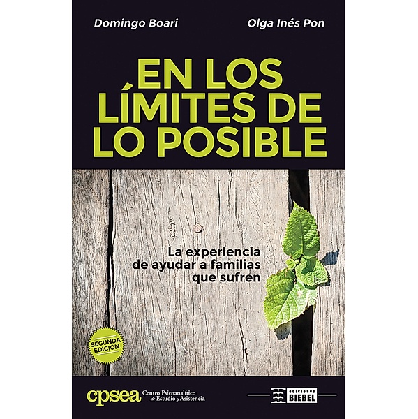 En los límites de lo posible, Domingo Boari, Olga Inés Pon