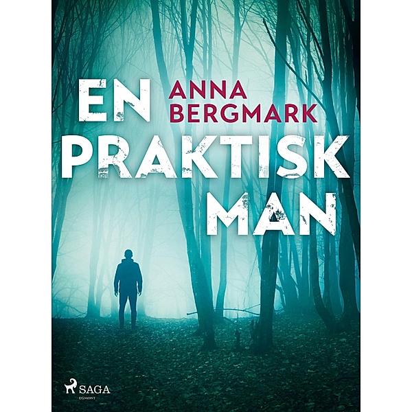 En praktisk man, Anna Bergmark