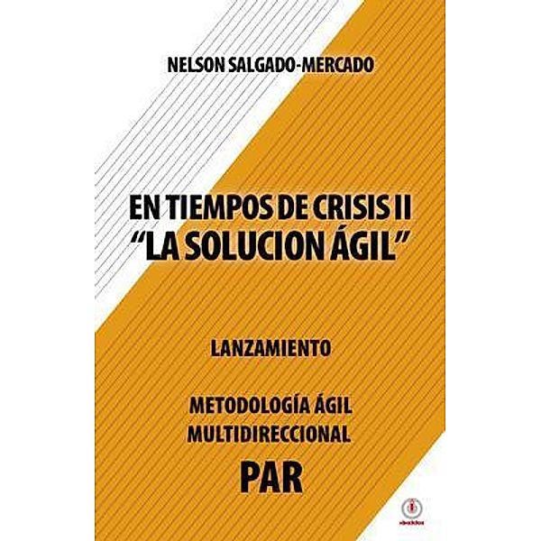 En tiempos de crisis ll, Nelson Salgado-Mercado