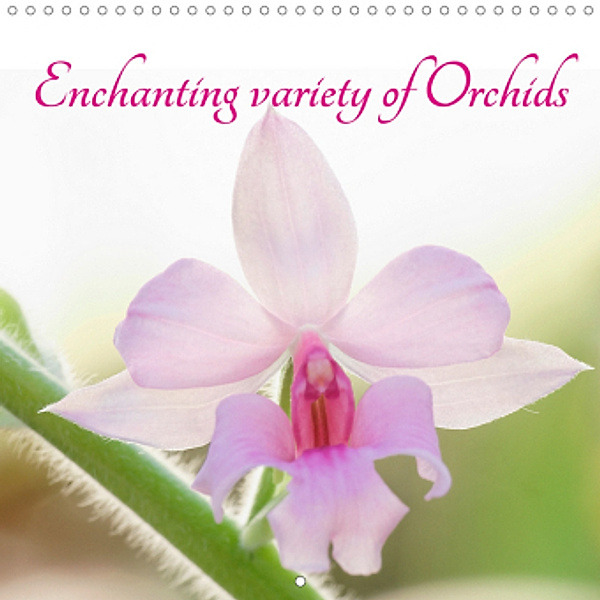 Enchanting variety of Orchids (Wall Calendar 2021 300 × 300 mm Square), Clemens Stenner