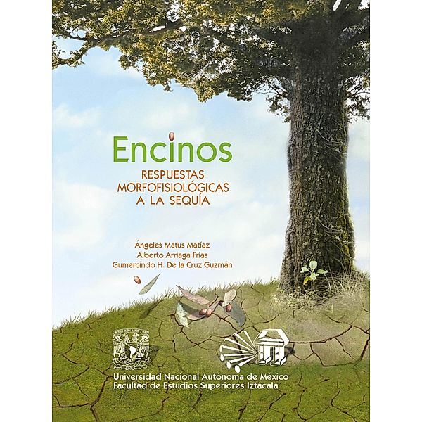 Encinos. Respuestas Morfofisiológicas a la sequía, Ángeles Matus Matíaz, Alberto Arriaga Frías, Gumercindo H. de la Cruz Guzmán