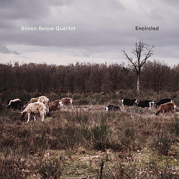 Encircled, Simon Below Quartet