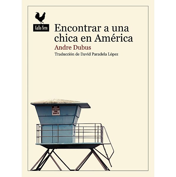 Encontrar a una chica en América / Narrativas Bd.87, Andre Dubus