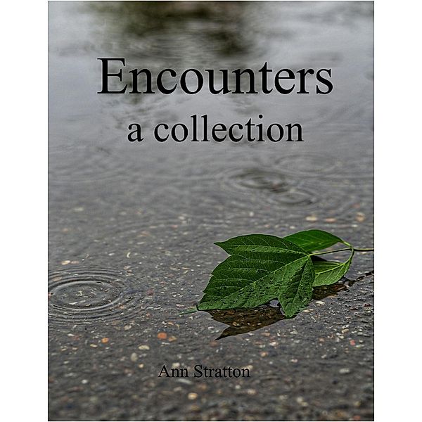Encounters: A Collection, Ann Stratton