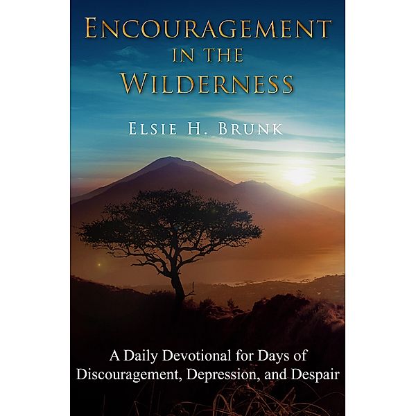 Encouragement in the Wilderness / Lighthouse Publishing of the Carolinas, Elsie H. Brunk