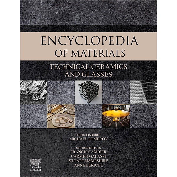 Encyclopedia of Materials: Technical Ceramics and Glasses