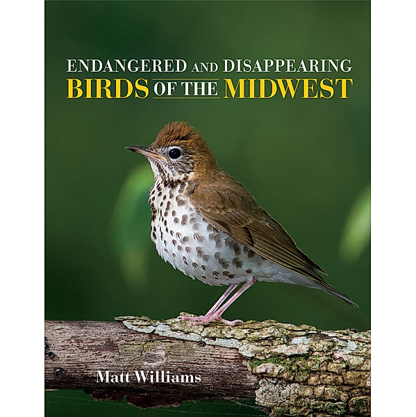 Endangered and Disappearing Birds of the Midwest, Matt Williams