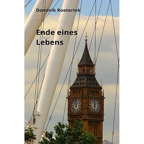 Ende eines Lebens, Dominik Roeterink